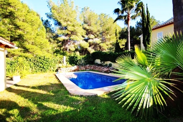 The paradise-like garden of the villa with spacious, well maintained pool