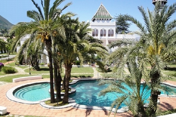 The paradise-like pool surrounded by majestic palm-trees